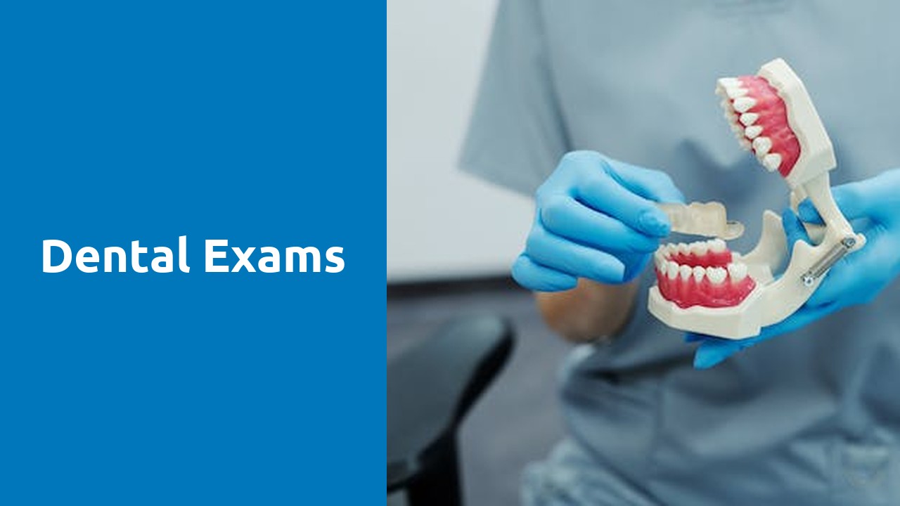 Dental Exams